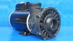 Reconditionnement pompe de SPA