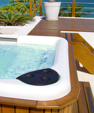 Pompe pour SPA